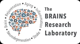 Imagen logo brains research lab