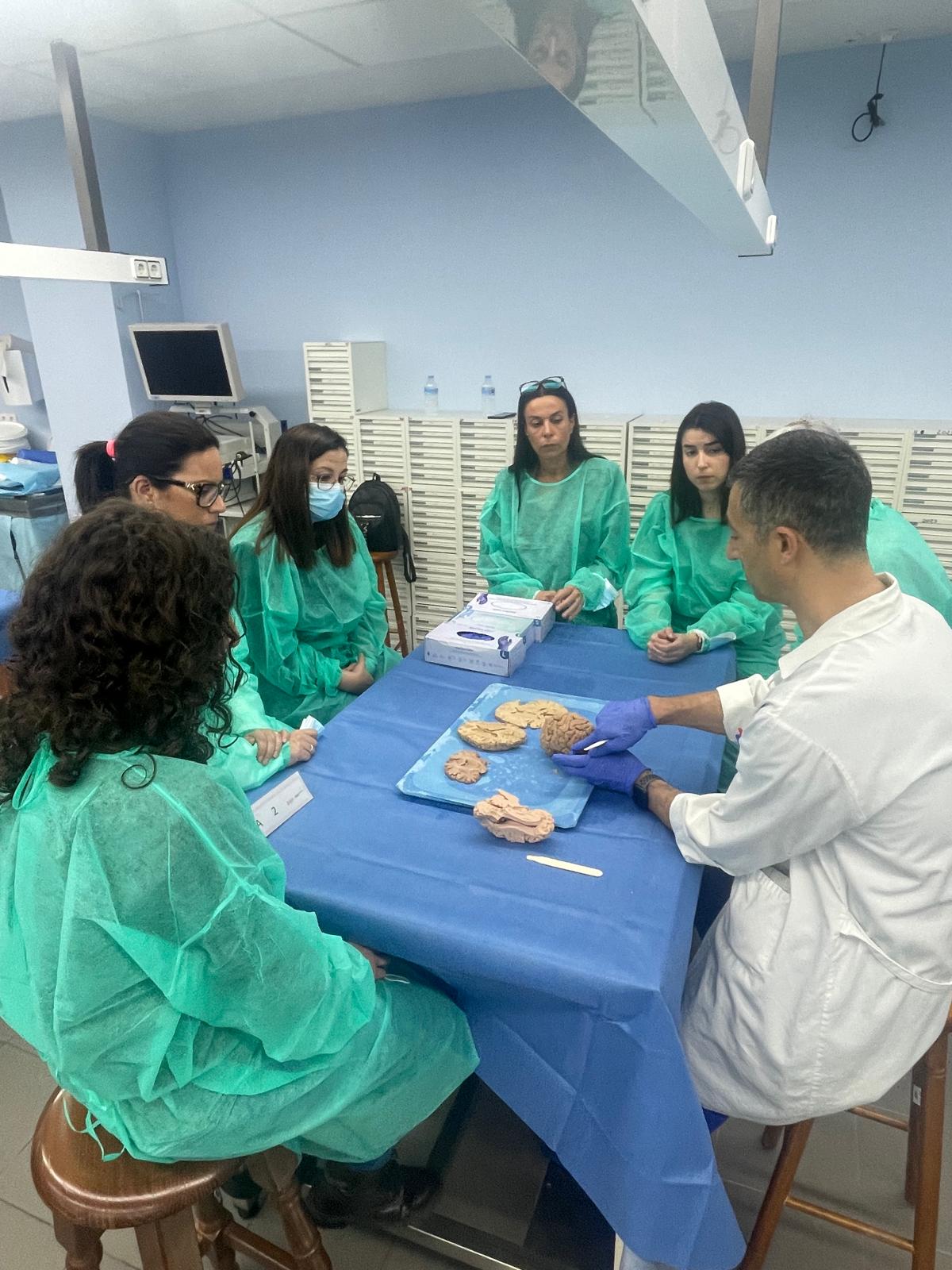 Curso de especialización en Neuroanatomía Clínico-quirúrgica en el Hospital Universitario de la Ribera-Taller práctico