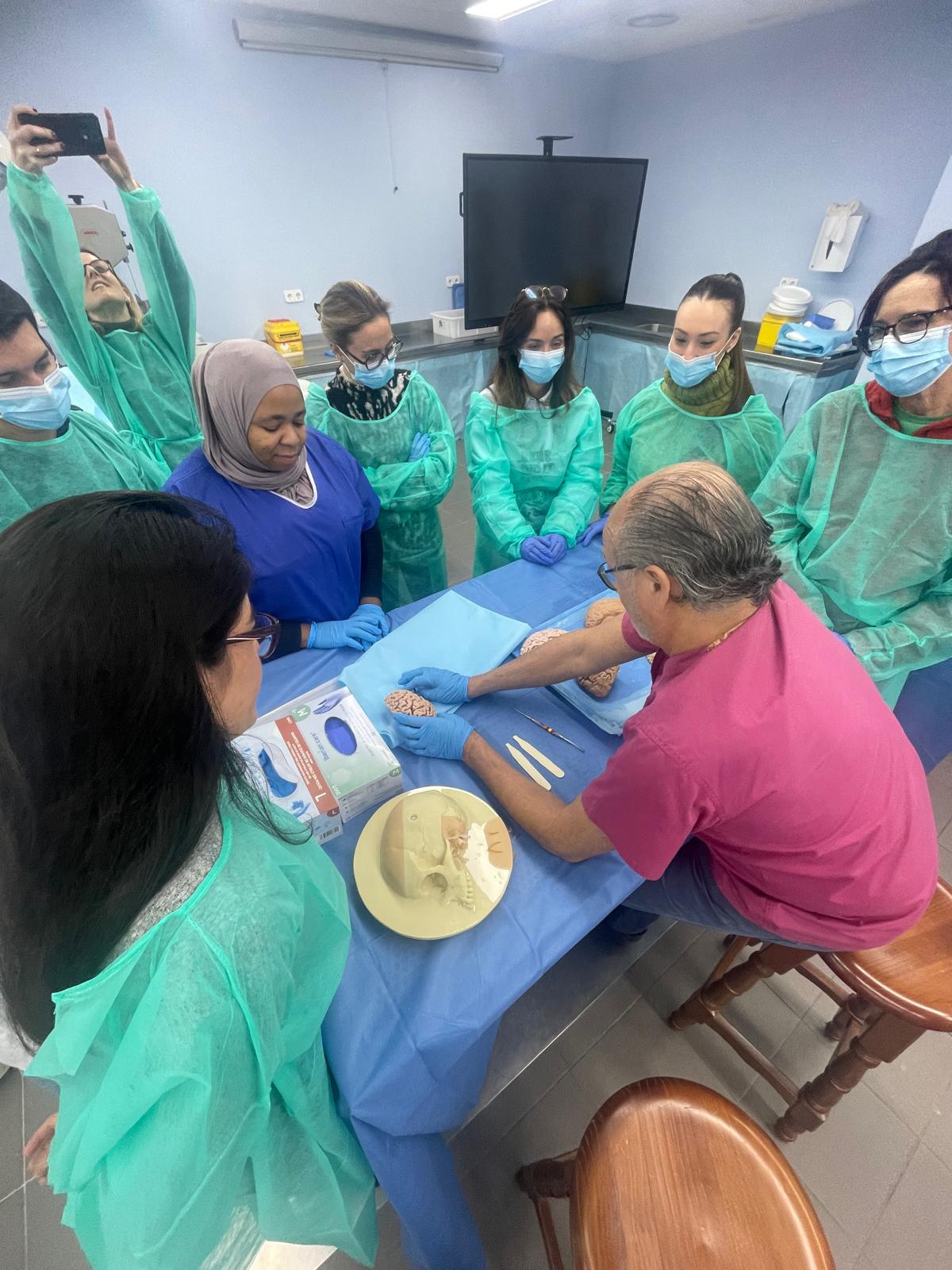 Curso de especialización en Neuroanatomía Clínico-quirúrgica en el Hospital Universitario de la Ribera- Taller práctico