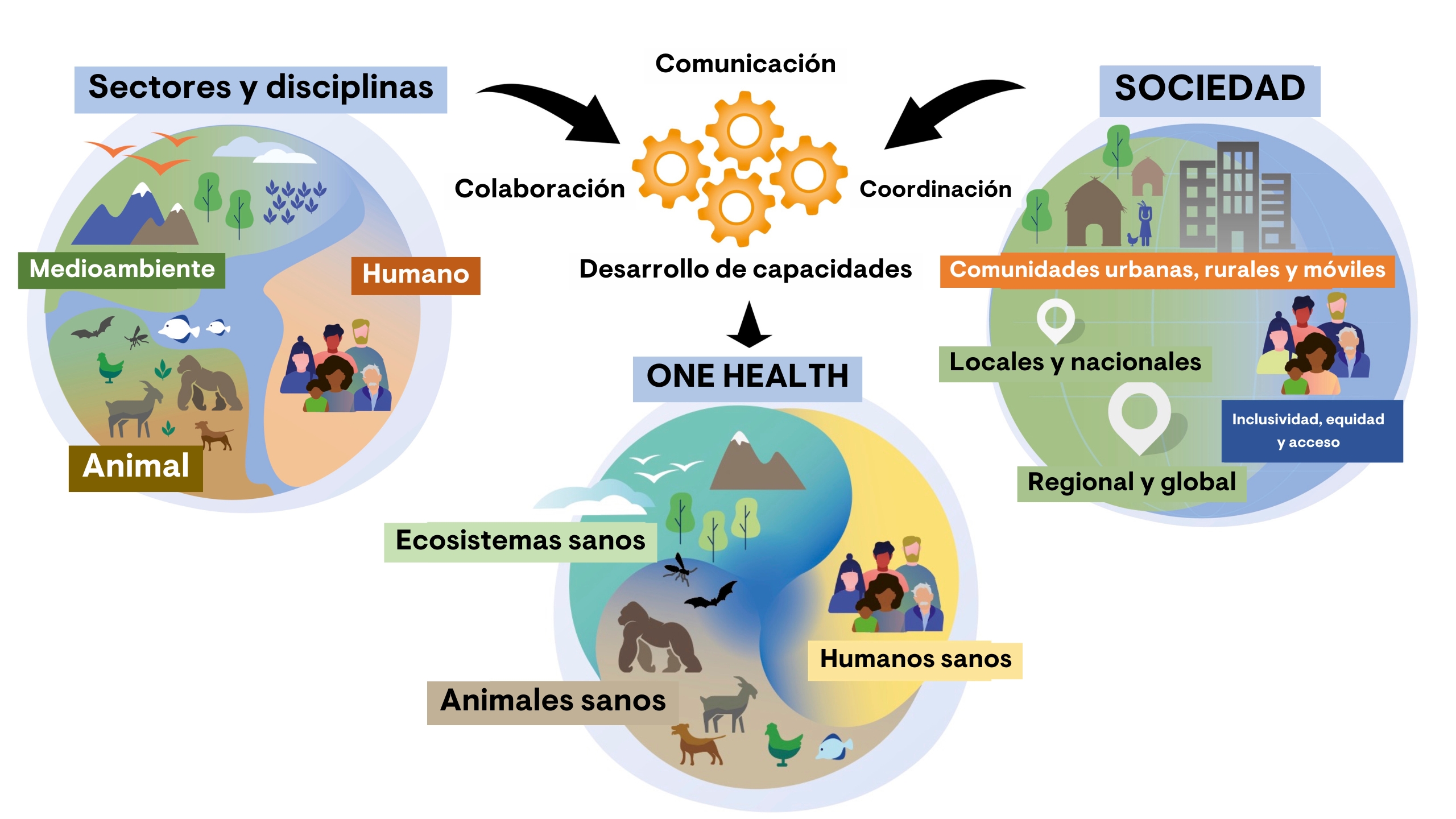 Esquema One Health OMS