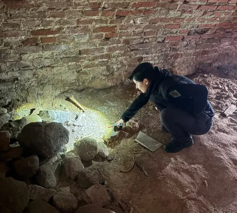 Imagen Ingrida Čičiurkaitė