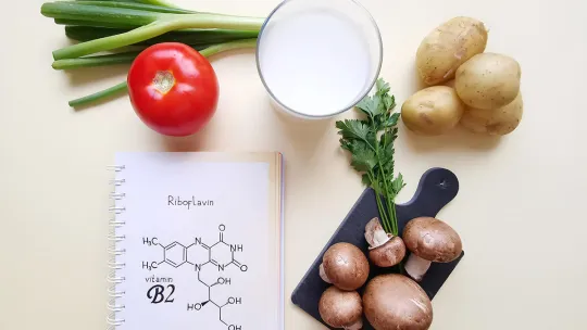 Máster Universitario en Nutrición Humana.jpg Máster Universitario en Nutrición Humana.jpg