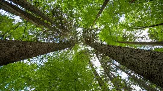 MicrosoftTeams-image.png MicrosoftTeams-image.png