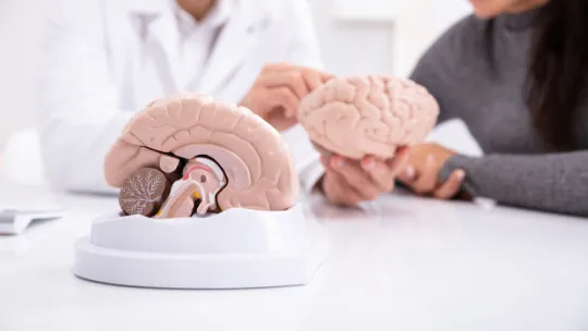 Imagen Portada V Jornadas de la Cátedra VIU-NED en Neurociencia Global y Cambio Social