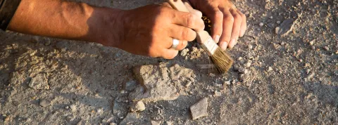 Imagen portada Simposio Internacional de Arqueología y Antropología Forense ante conflictos contemporáneos