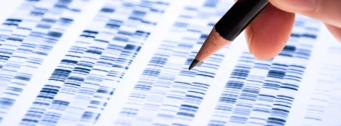 Doctorado en Inmunonutrición