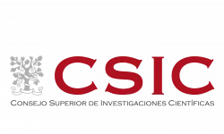 CSIC LOGO